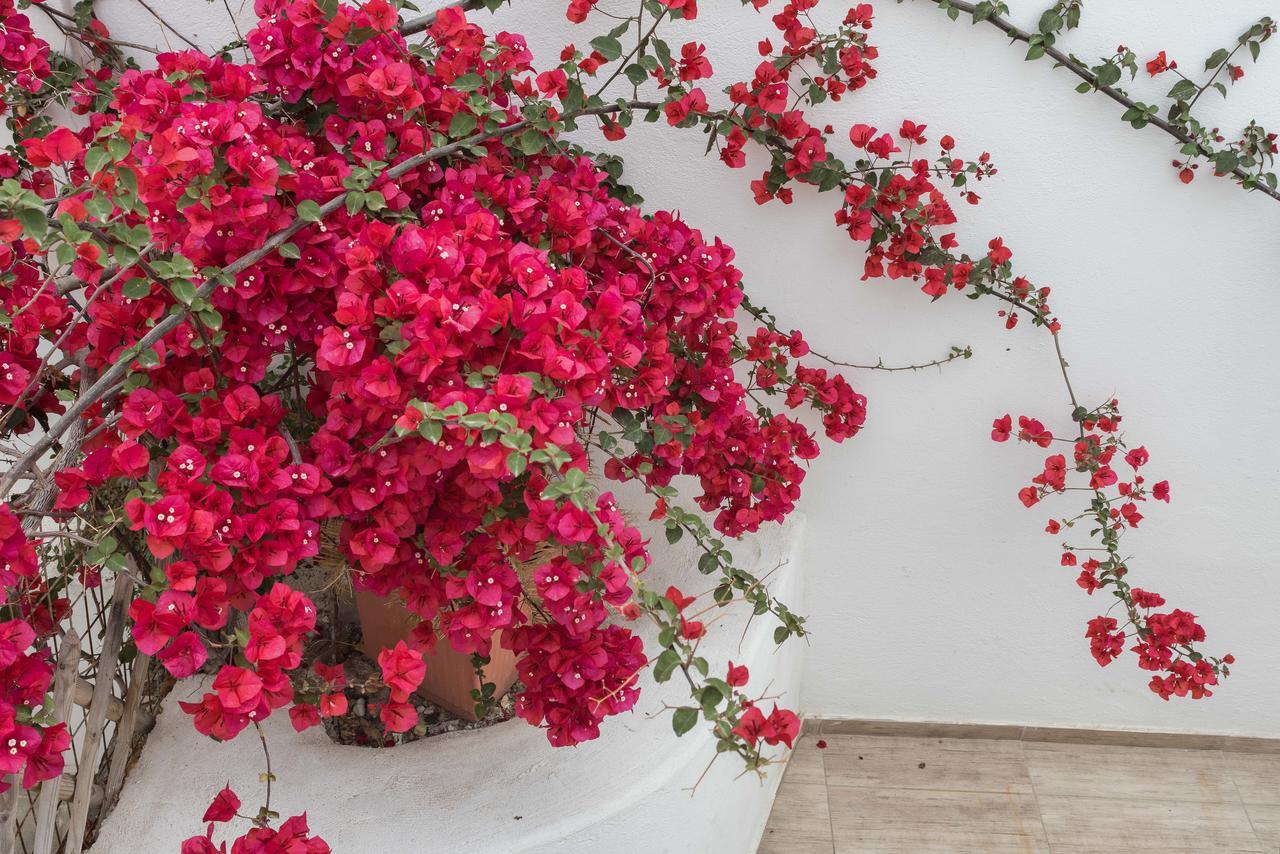 Depis Suites Naxos City المظهر الخارجي الصورة